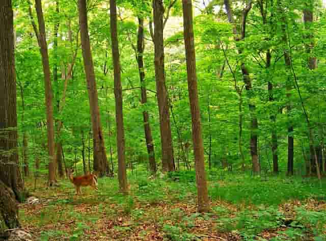 天目湖：产品迭代升级 经营创新突围