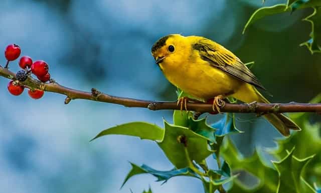 公积金交了半年可以公积金贷款吗