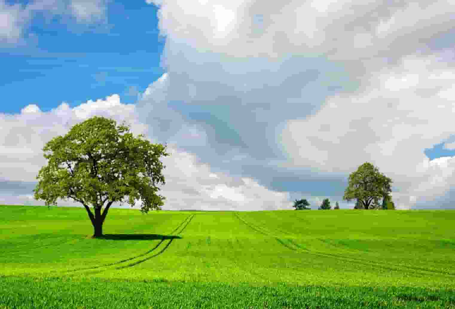 袖虎知识库：这个东西看似没用，实则少不了