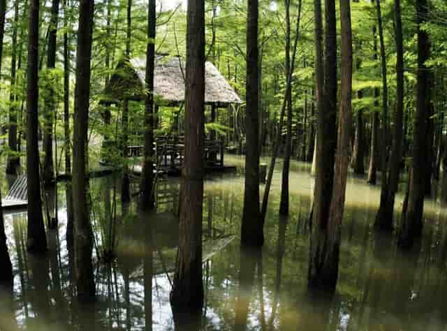 孩子不上小学吗