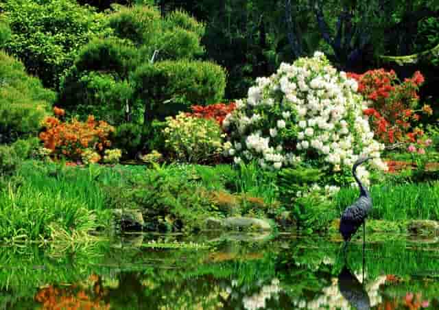 生理盐水洗伤口需要稀释嘛