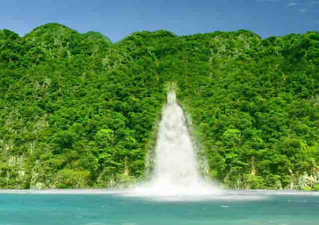 吃葡萄最好的人