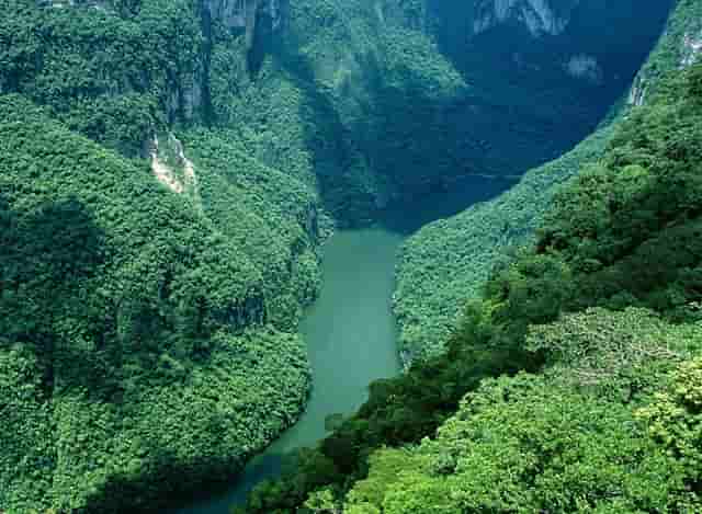 蔡嘉珍成功註冊理財規劃師，邁出專業領域新里程碑