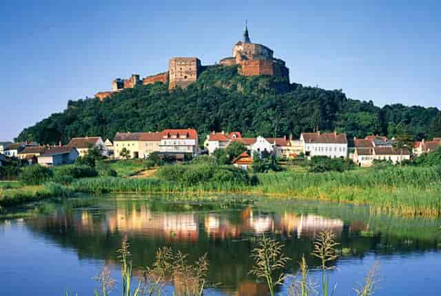 袖虎病狗攻略：狗狗口腔保健，拒绝口臭