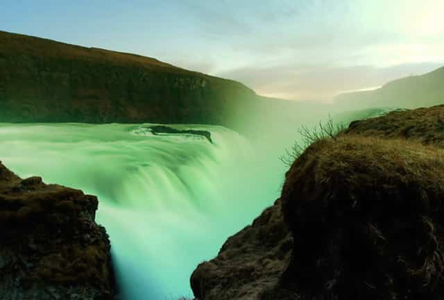 袖虎病猫攻略：猫多大可以配种？