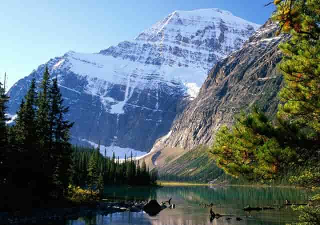 袖虎养猫疑问：它居然流红色的泪？！