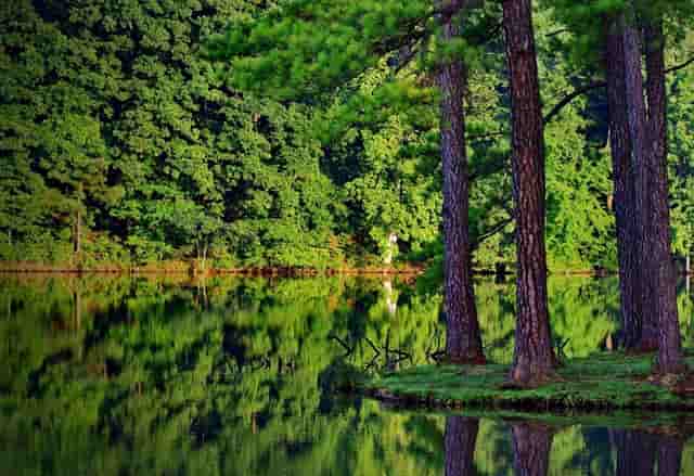陌陌主播小时间