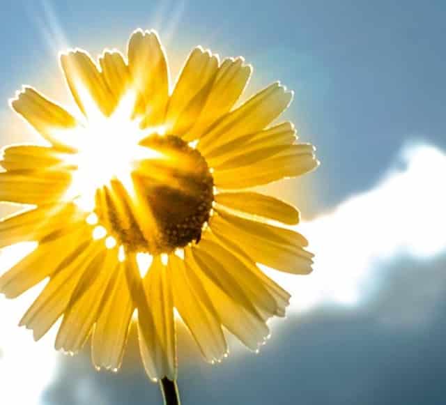 蛇缠腰带状疱疹什么药(蛇缠腰疫苗带状疱疹疫苗价格)