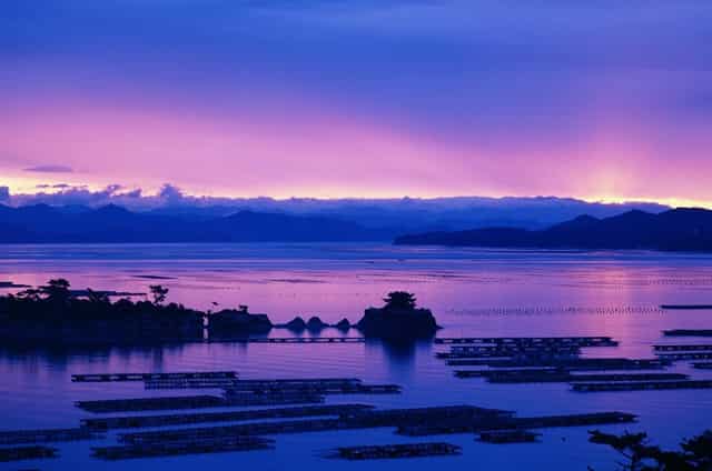 王凯在欧洲的影响力