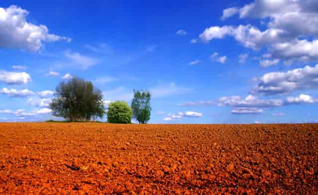 马斯克特斯拉的成功(特斯拉CEO马斯克确诊新冠)