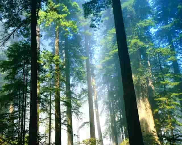 发明专利获国家知识产权局