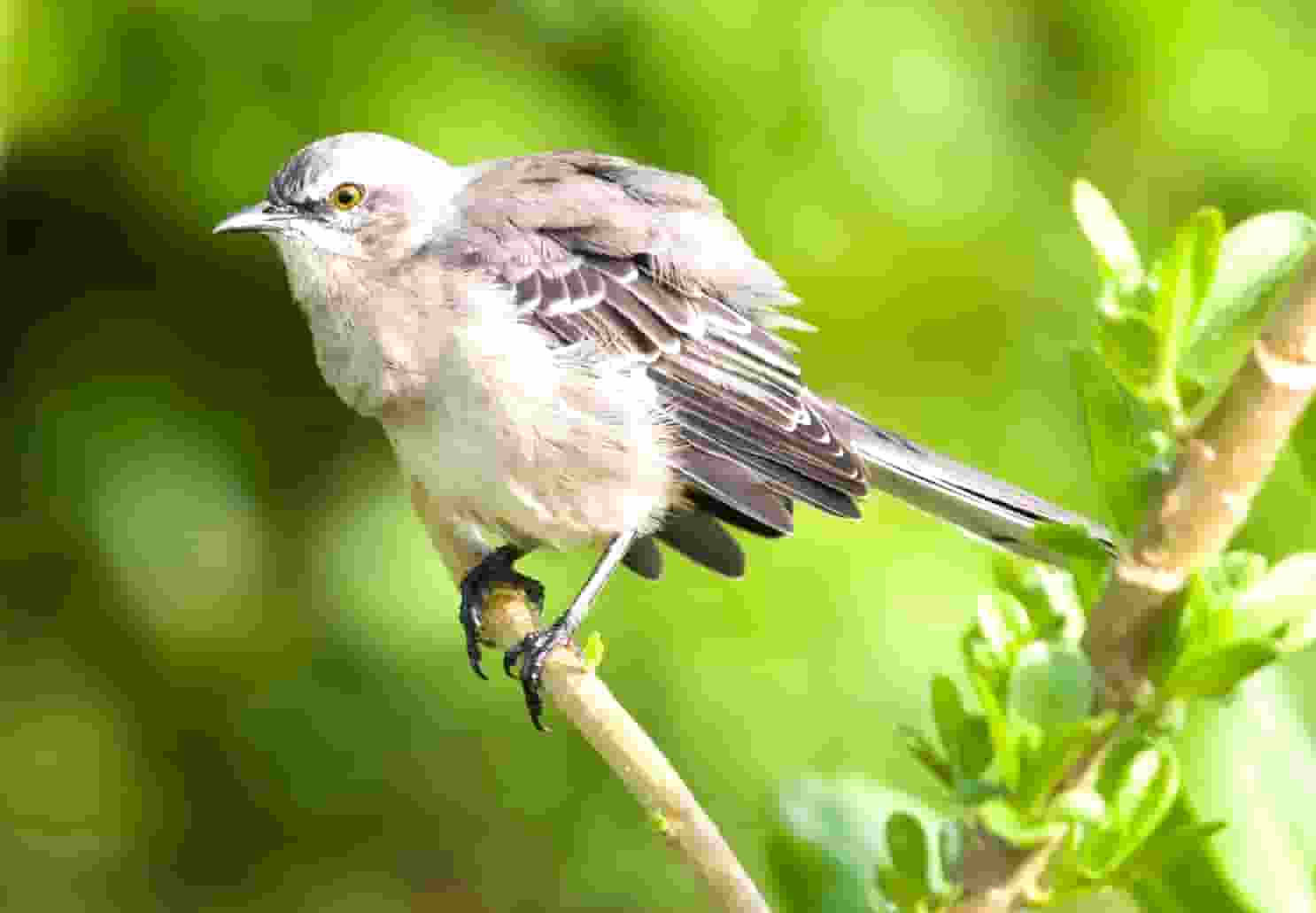 柳州这座民用建筑的装修 整个胡同都是灰蒙蒙的