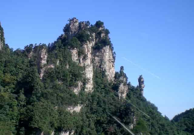 袖虎病猫攻略：猫咪便秘怎么办