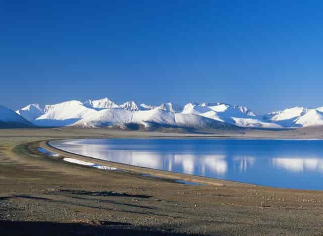 袖虎预警，夏季狗狗中暑要小心！