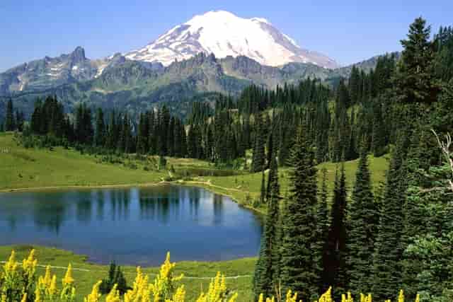 女孩打疫苗笑了