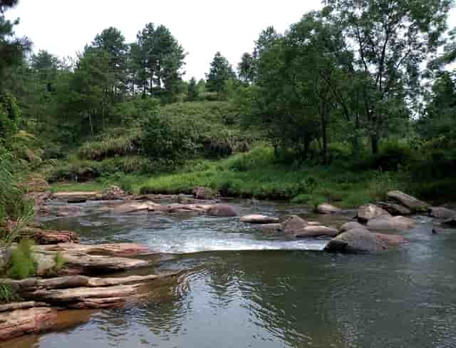 今年专升本有多少学生
