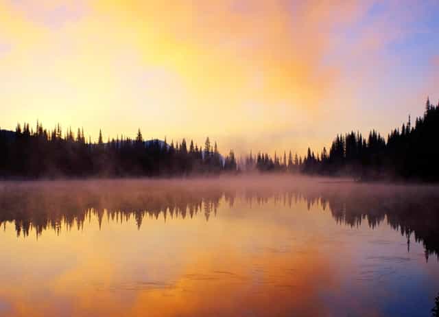 公司回购股份后怎么分