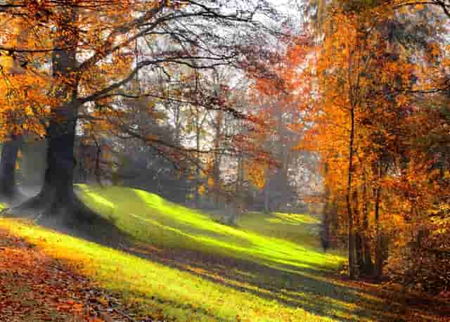 怎么不能得高血压(高血压怎么不能吃什么)