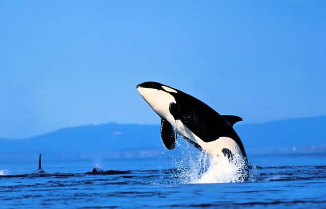 不能发生的灾难