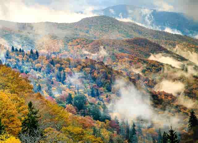 加入社区志愿者的活动