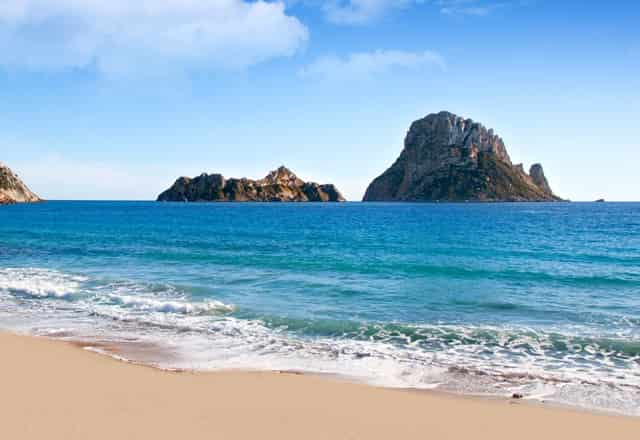 袖虎病猫攻略：猫细小的症状有哪些？