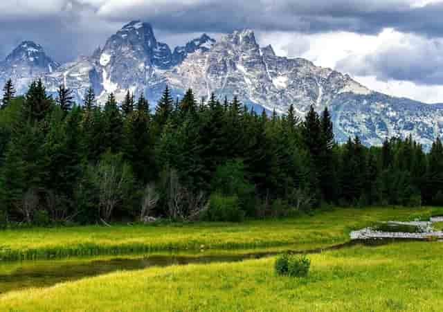 袖虎病猫攻略：猫咪口臭要注意