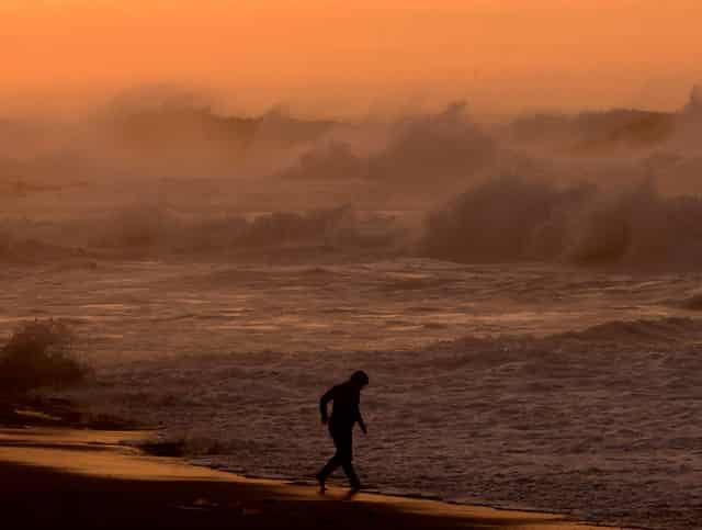 袖虎病狗攻略：狗狗白内障的三大症状？