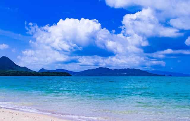 孙颖莎王曼昱谁打伊藤美诚更稳(孙颖莎王曼昱vs伊藤美诚早田希娜)