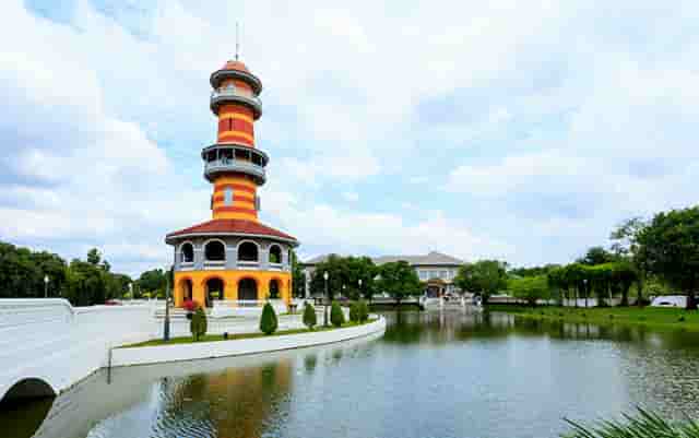 袖虎病猫攻略： 如何判断猫咪健不健康 宠物生活小百科