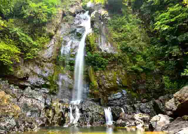 时尚穿搭技巧 2018春季(女子穿搭技巧答案2018)