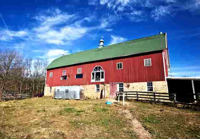 袖虎病猫攻略：猫指甲开裂可怕吗？别把自己吓到了