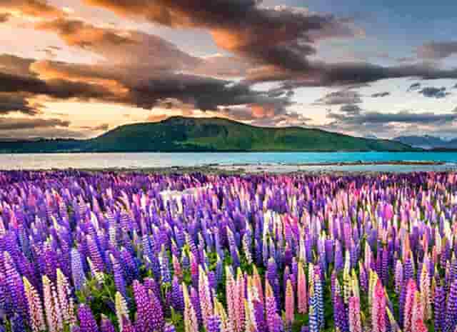 时尚大片拍照技巧夜景