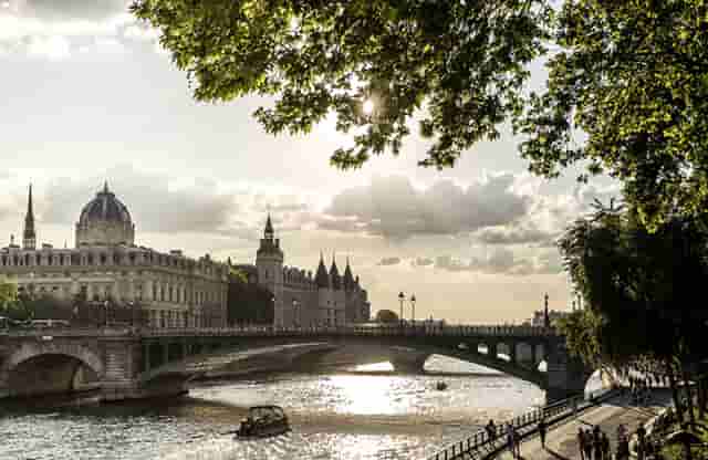 袖虎病狗攻略：狗狗鼻炎别大意