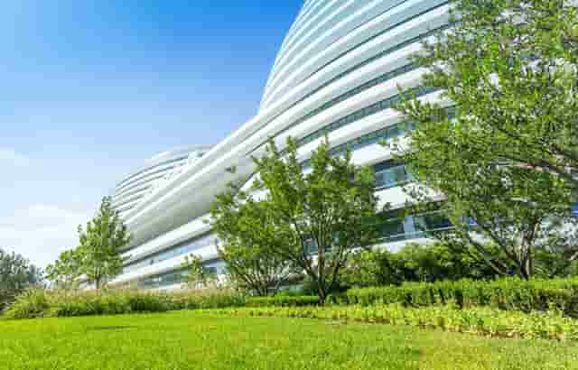 袖虎宠物攻略：猫咪患上呼吸道疾病怎么办？