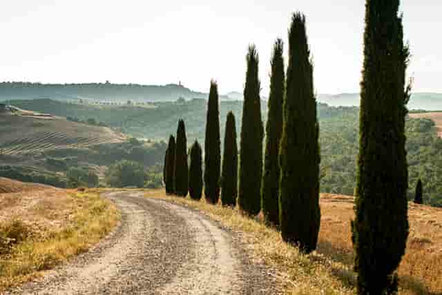 靶向药新星·拉罗替尼不限癌种（Larotrectinib，LOXO-101）