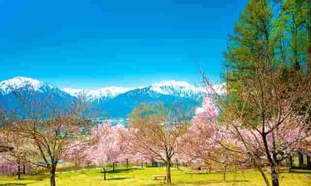 BBR万国IWC葡萄牙系列恒定动力陀飞轮“150周年”特别版