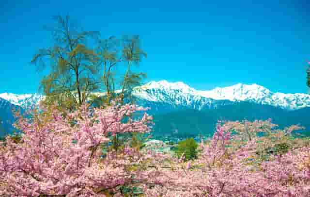 高个子搭配衣服技巧时尚(女生高个子怎么搭配衣服好看)