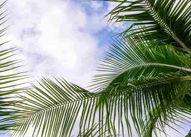 韩国时尚主妇收纳技巧(韩国主妇冰箱收纳)