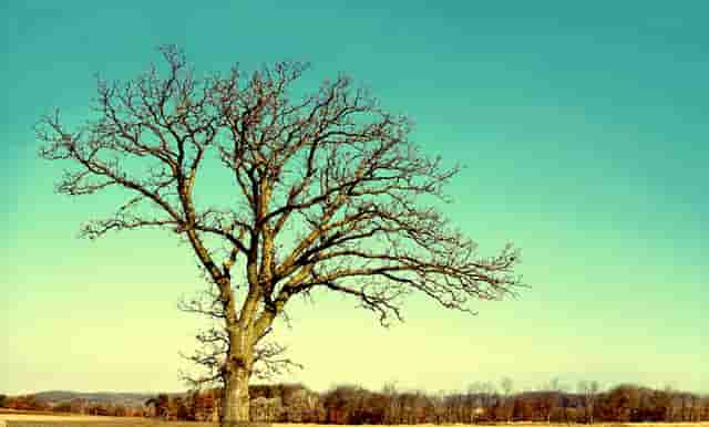 韩国女生秋冬穿搭(ins韩国穿搭秋冬)