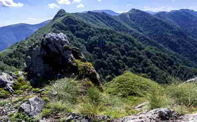 中国好声音最火歌曲曲目