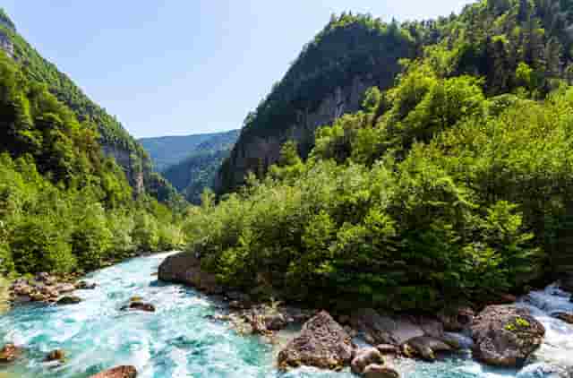 袖虎宠物店揭秘行业骗局：开宠物店有没有暴利？(1)