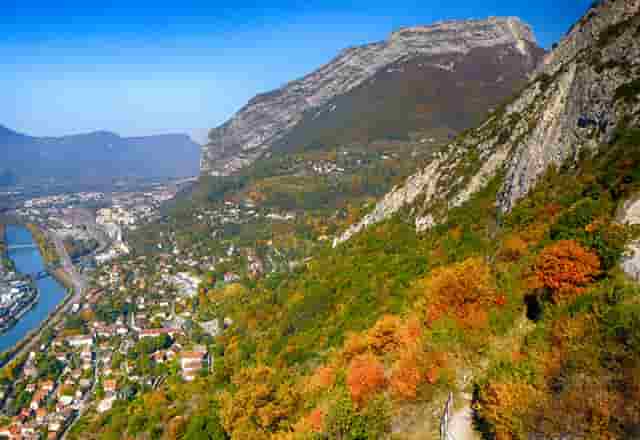 袖虎宠物教你预防黑心商人“卖猫”的诈骗套路！