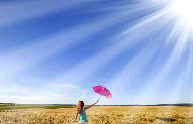 袖虎病狗攻略：犬瘟热是怎么回事