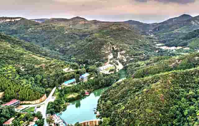 袖虎病狗攻略：狗狗喂养的4大误区和7大正确方法