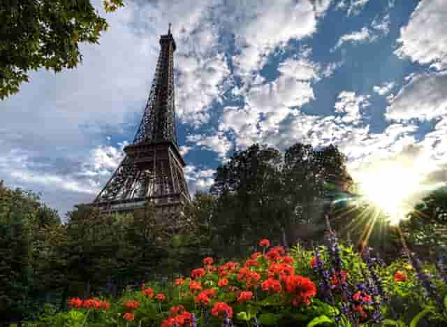 袖虎病狗攻略：鉴别病狗和健康狗的十二个方面，你知道几个？