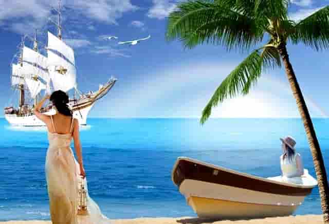 袖虎宠物为你揭露宠物行业加盟套路