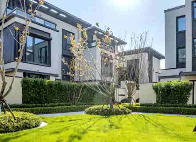 袖虎病猫攻略：猫的多囊肾是什么