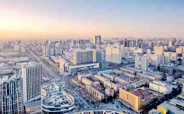 袖虎病猫攻略：猫生了跳蚤怎么办？